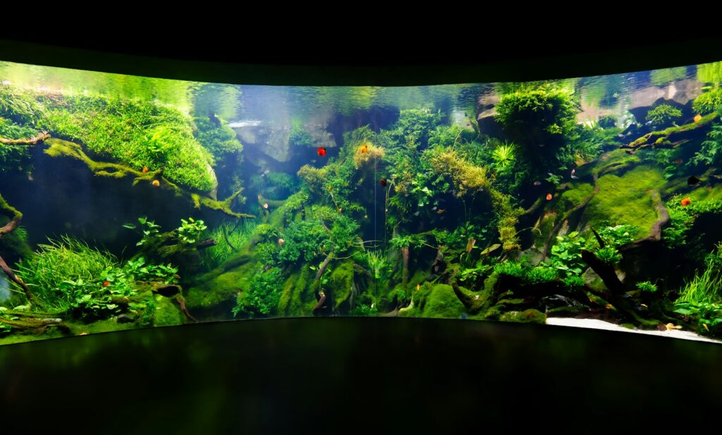 Nano-Aquarium: kleines bepflanztes Becken auf einem Schreibtisch