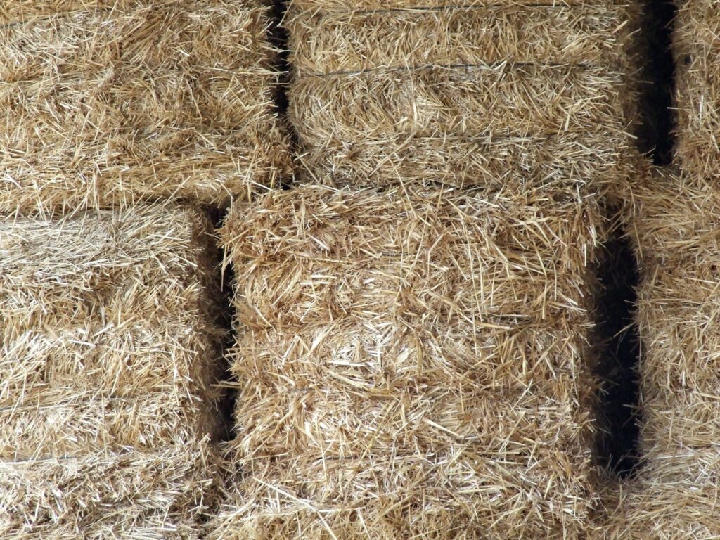 Heuballen aus der Nähe, verschimmeltes Heu dürfen Pferde nicht fressen