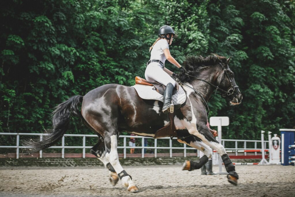 Reitunterricht in der Reitbahn als zusätzlicher Posten bei den monatlichen Pferdekosten